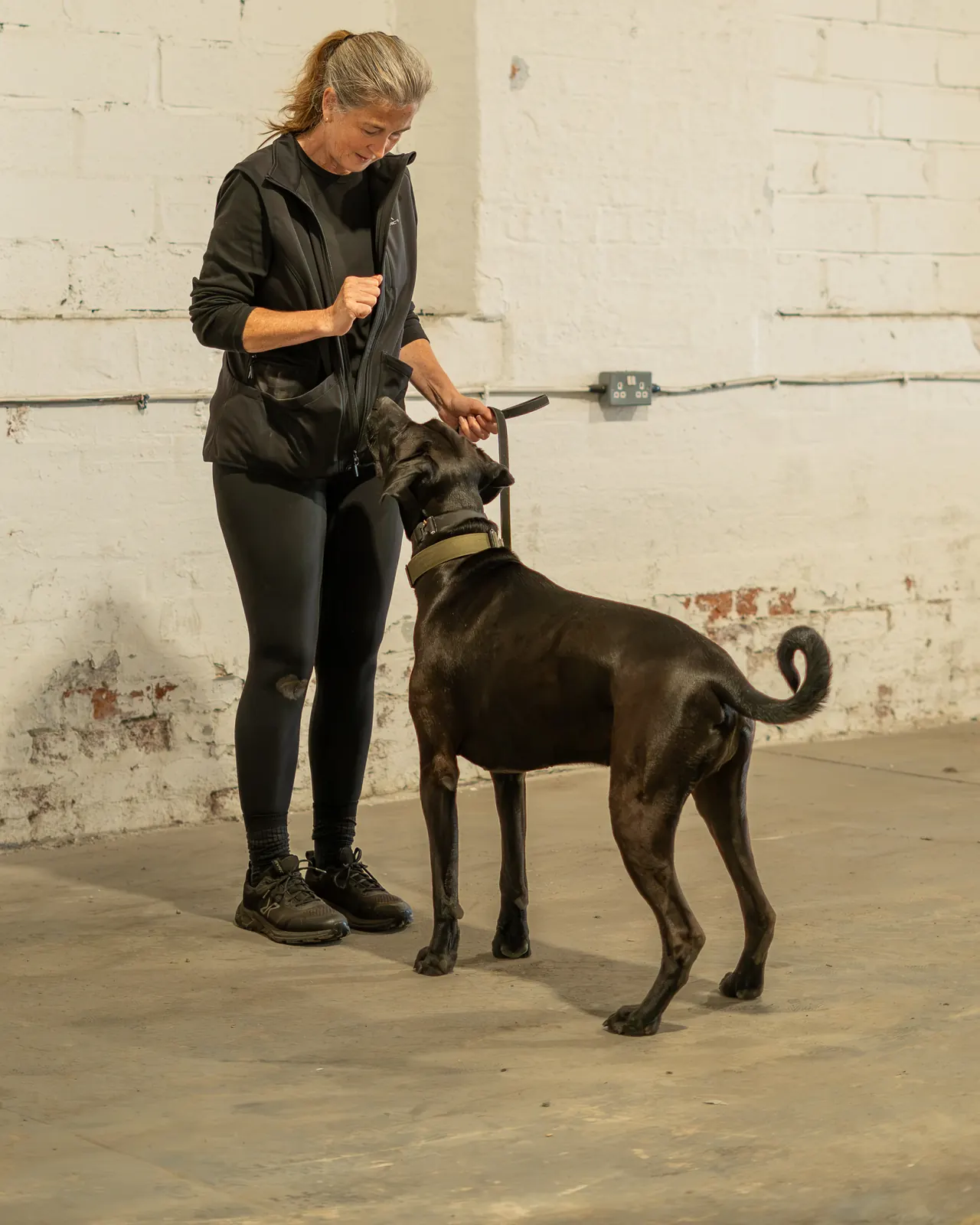 Caroline training a dog at The Blueprint Studio